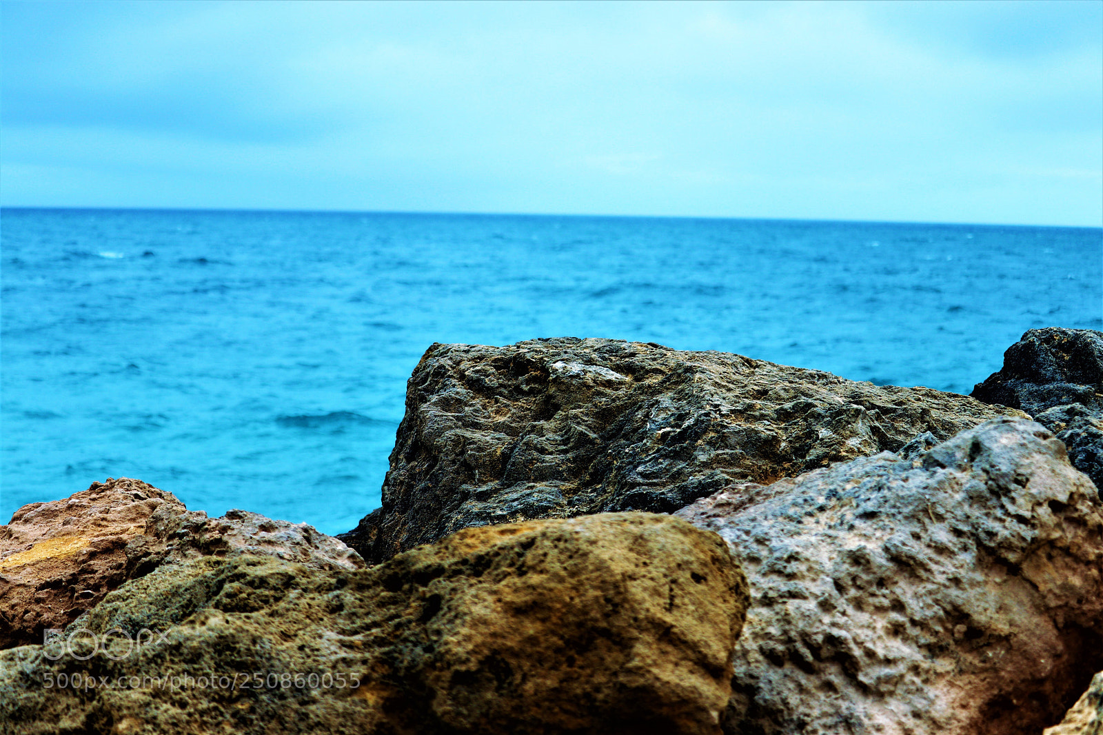 Canon EOS 80D sample photo. Out on the rocks  photography