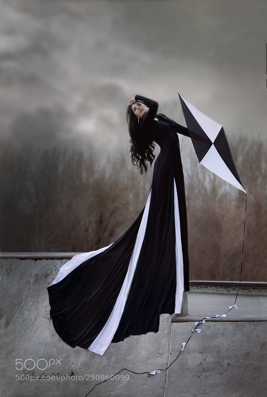 Canon EOS 5D Mark IV sample photo. Kite in the wind photography