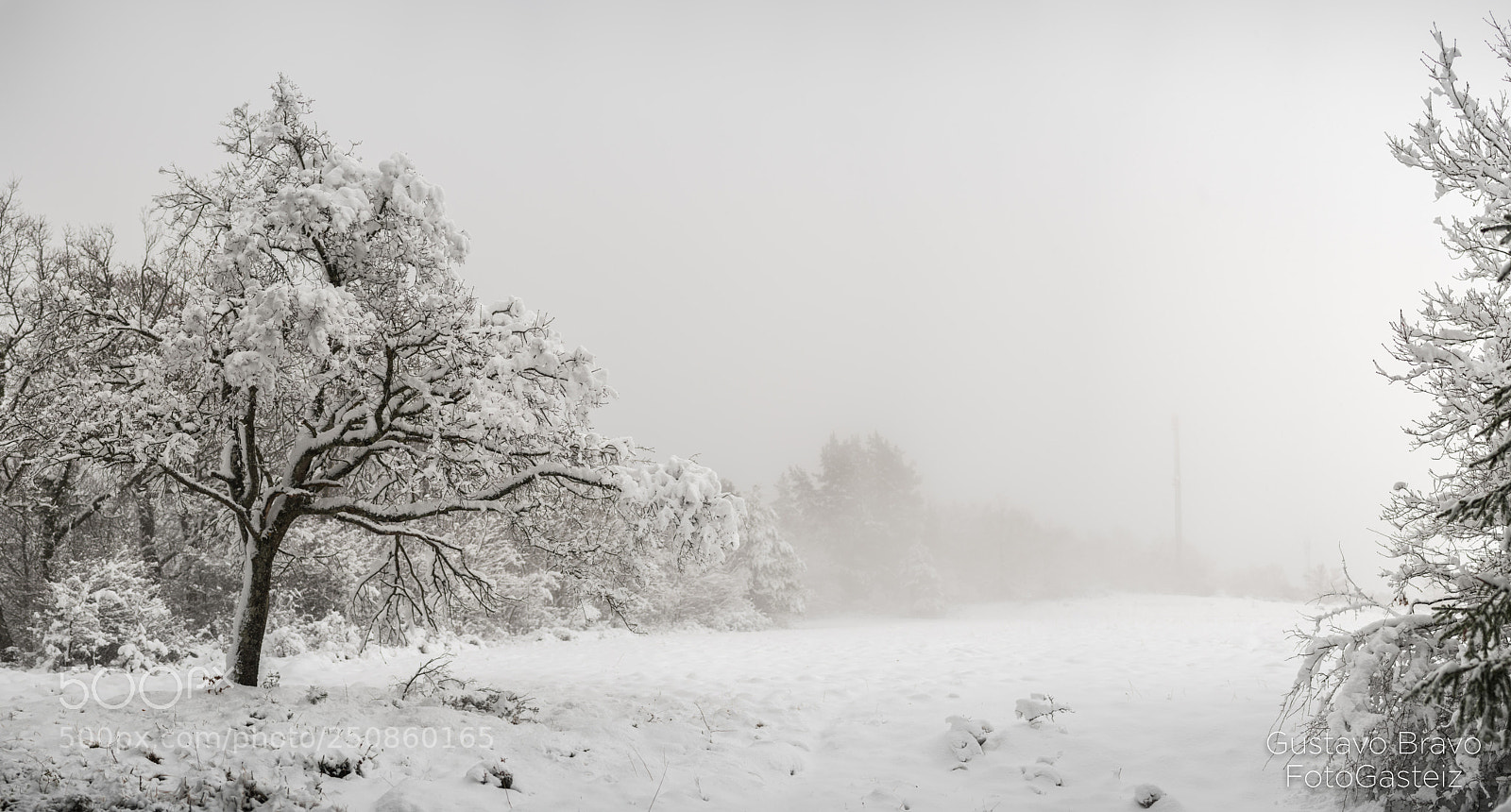 Nikon D850 sample photo. Serie 'lugar' prado nevado photography