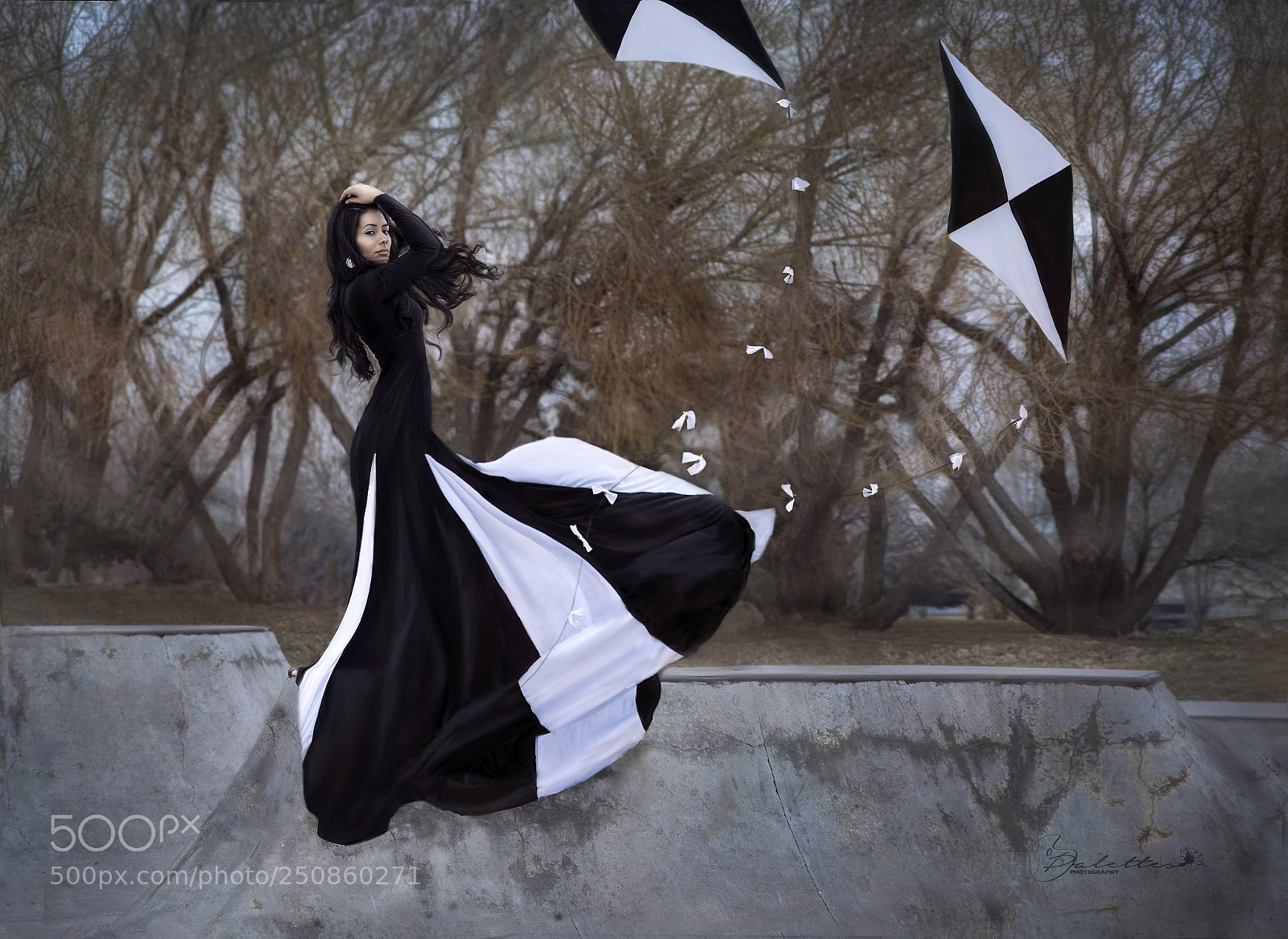 Canon EOS 5D Mark IV sample photo. Two kites photography
