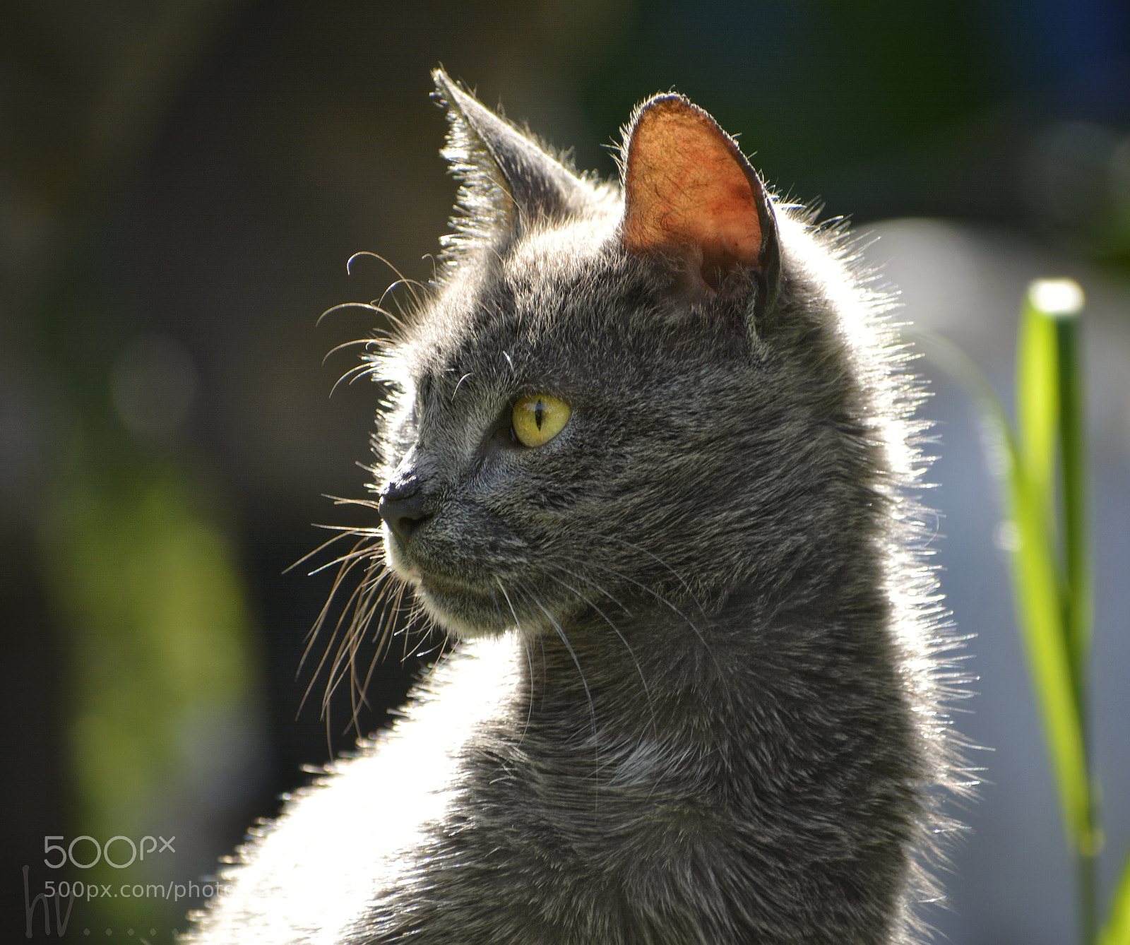 Nikon D7100 sample photo. One moment photography