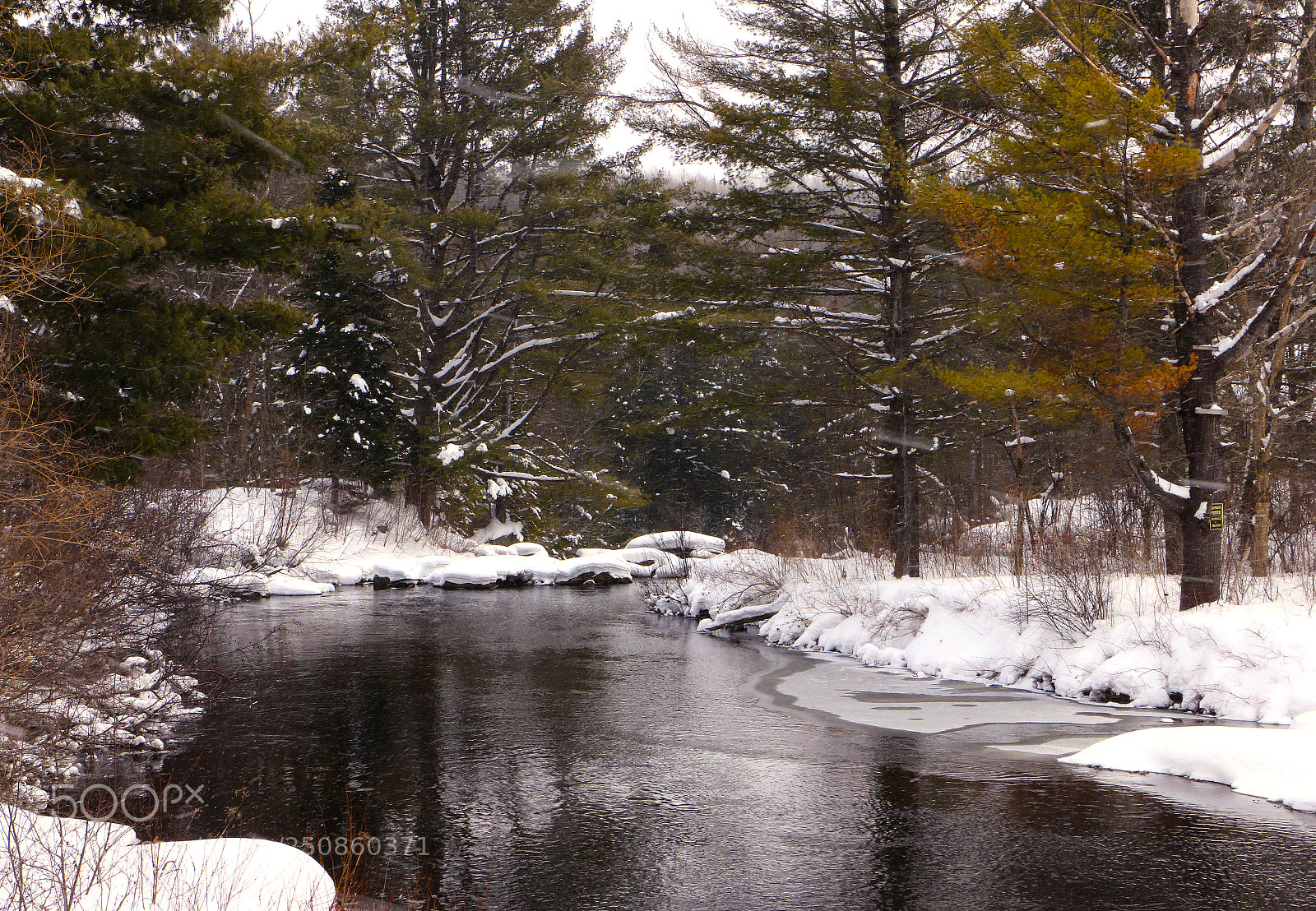 Canon EOS 70D sample photo. Fresh snow photography