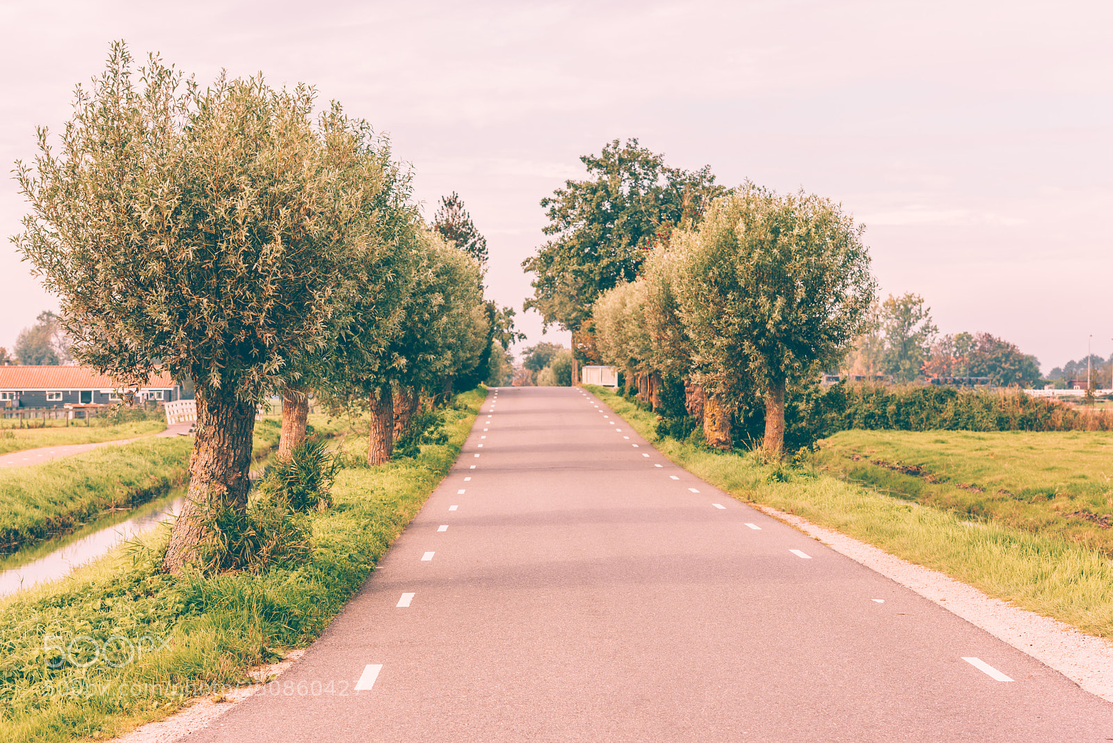 Nikon D810 sample photo. Beautiful road surrounded by photography