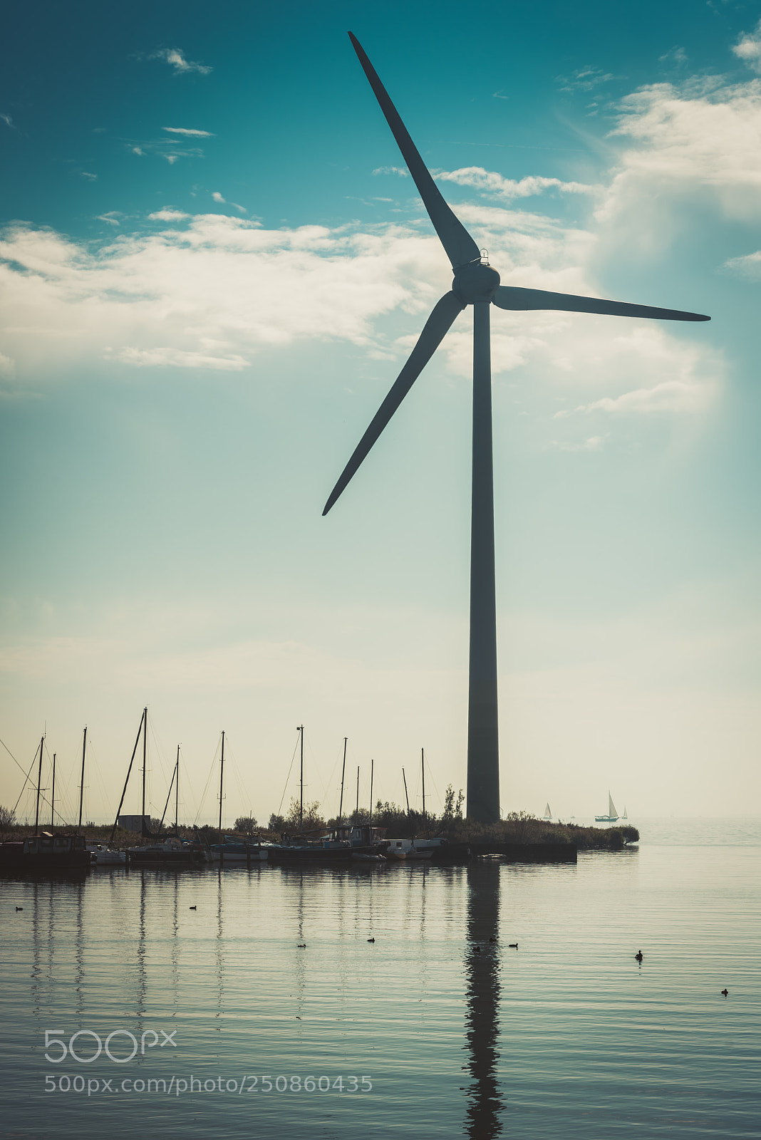 Nikon D810 sample photo. Rural water landscape with photography