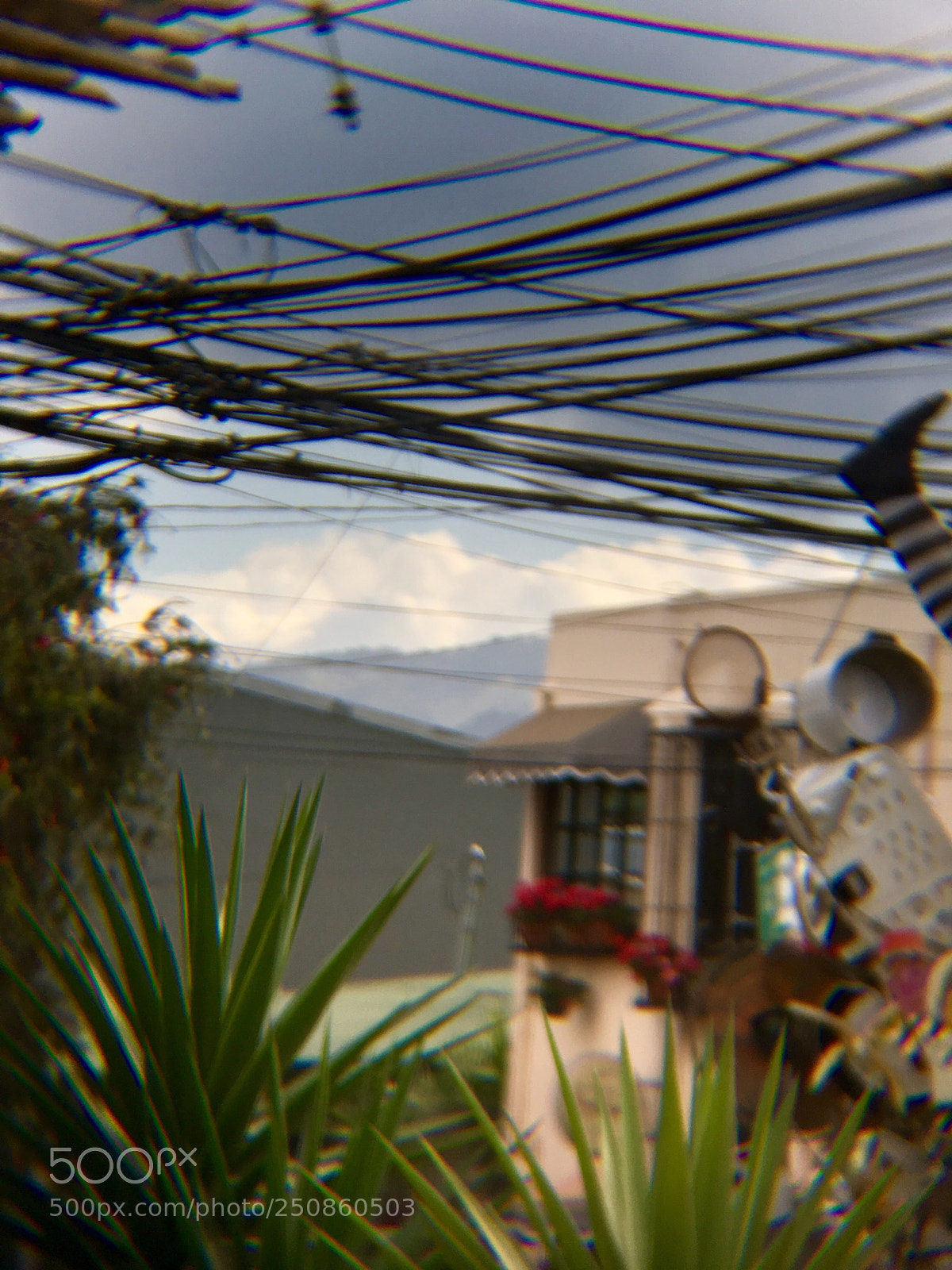 Apple iPhone 6s sample photo. Untitled photography