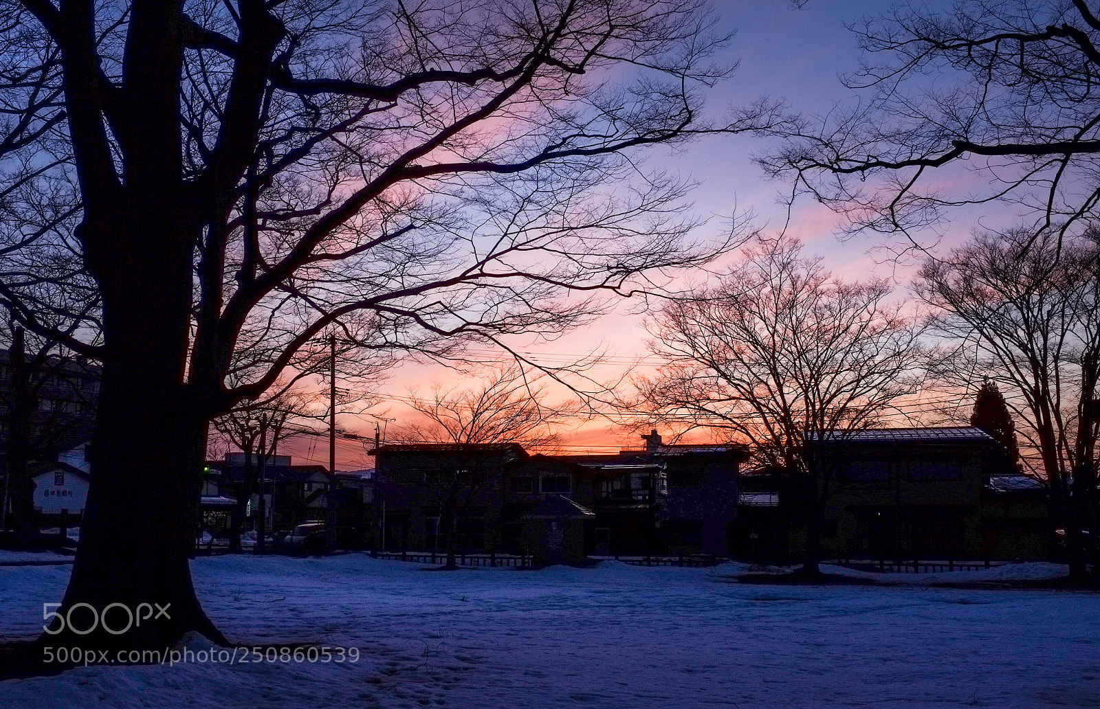 Fujifilm FinePix X100 sample photo. Under the sunset photography