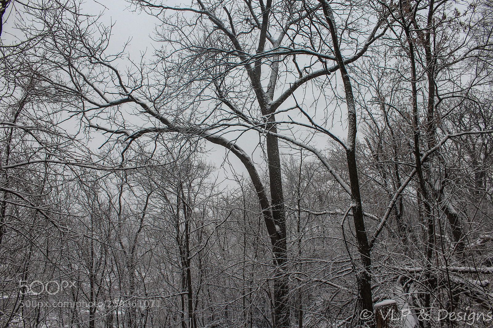 Canon EOS 1200D (EOS Rebel T5 / EOS Kiss X70 / EOS Hi) sample photo. Frosted photography