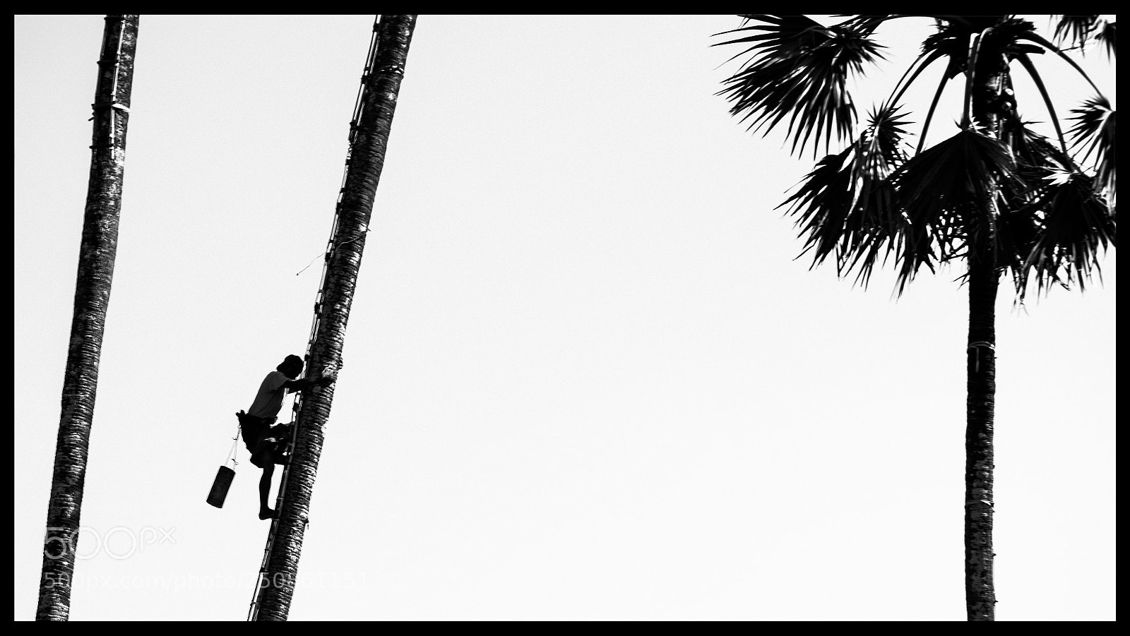 Nikon D5100 sample photo. Life between sky and photography