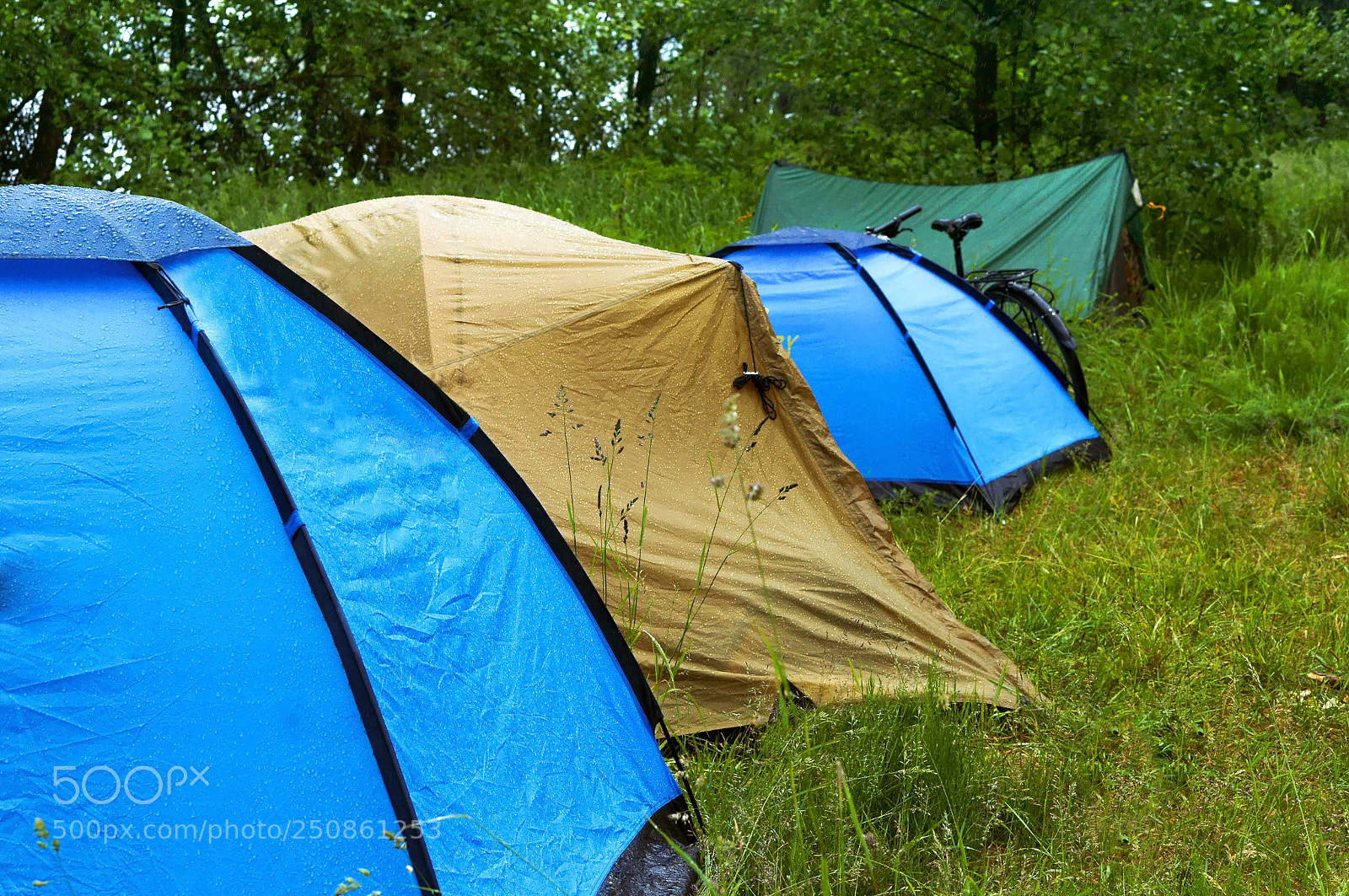 Sony Alpha NEX-3N sample photo. Tent on the meadow photography