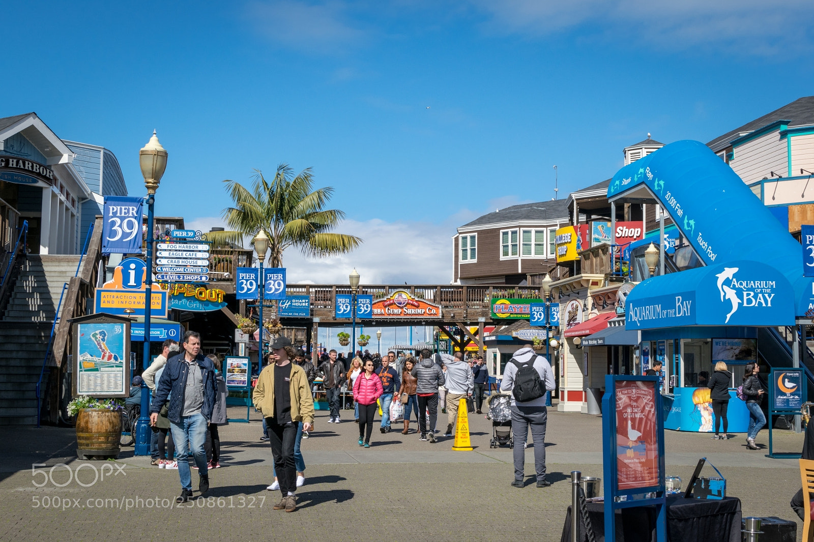 Nikon D5300 sample photo. Walking around san francisco photography