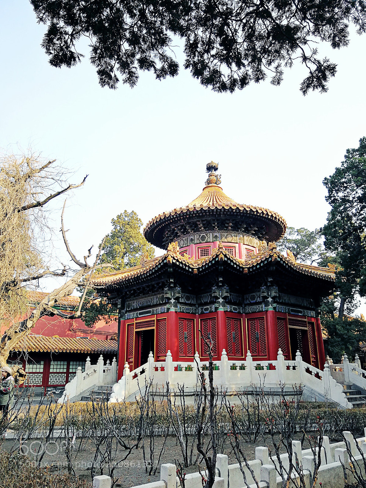 HUAWEI Mate 9 sample photo. Untitled photography