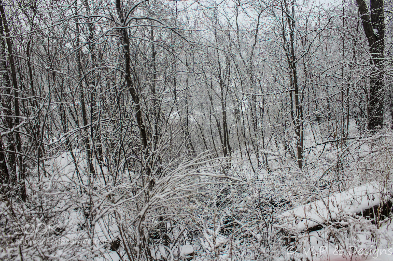 Canon EOS 1200D (EOS Rebel T5 / EOS Kiss X70 / EOS Hi) sample photo. Winters end photography