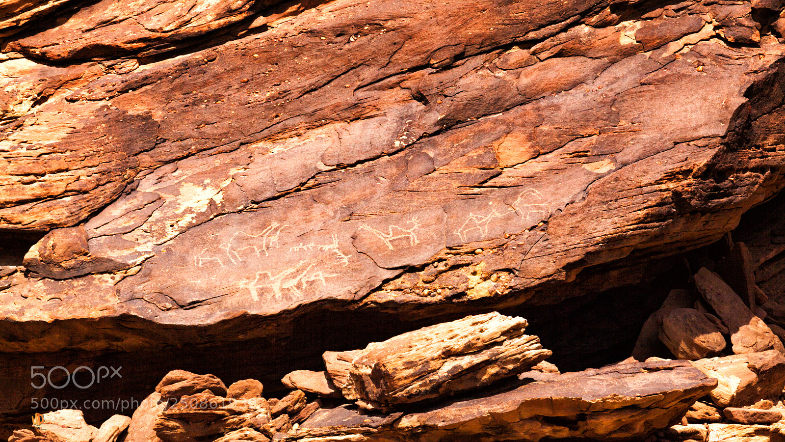 Canon EOS 5D Mark II sample photo. Petroglyphs at al haith photography