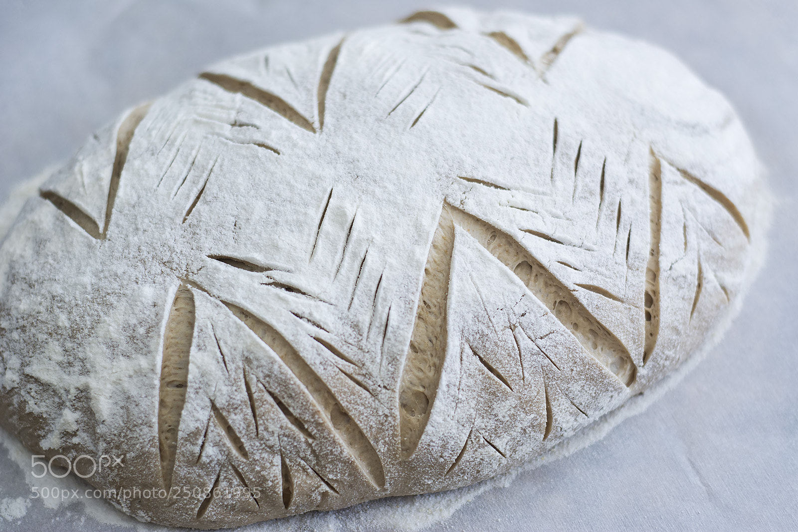 Nikon D7100 sample photo. Sourdough photography