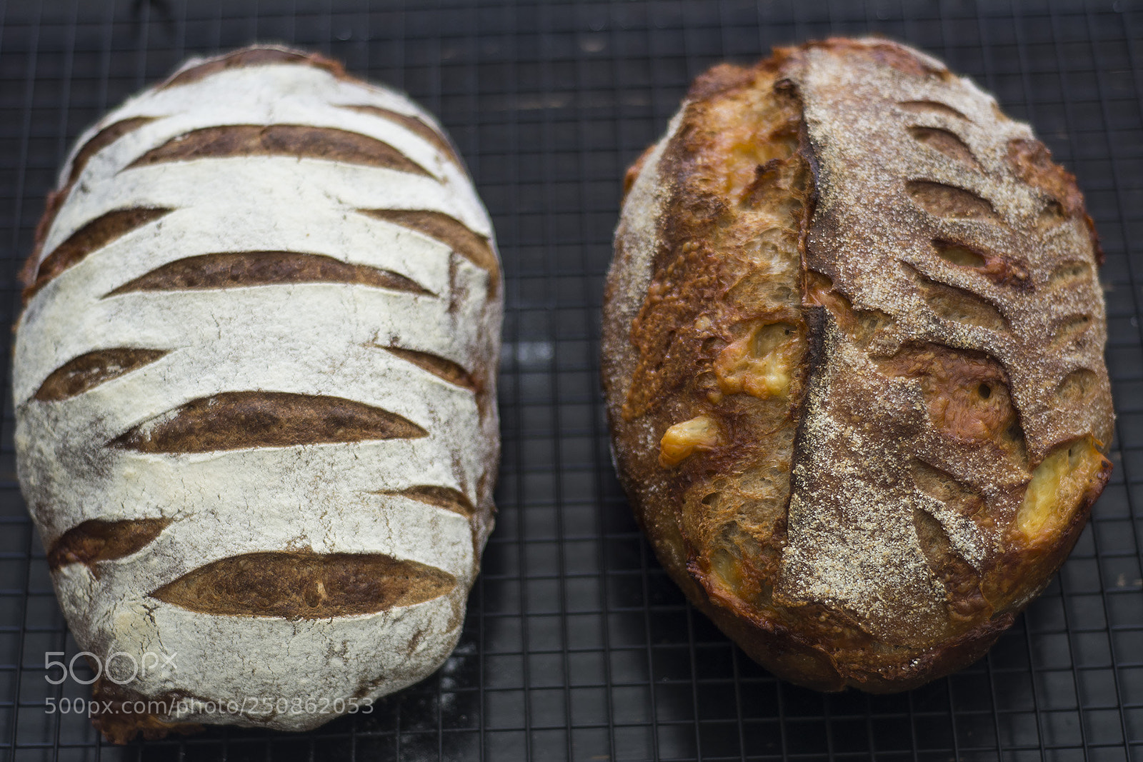 Nikon D7100 sample photo. Gruyere mozz sourdough photography
