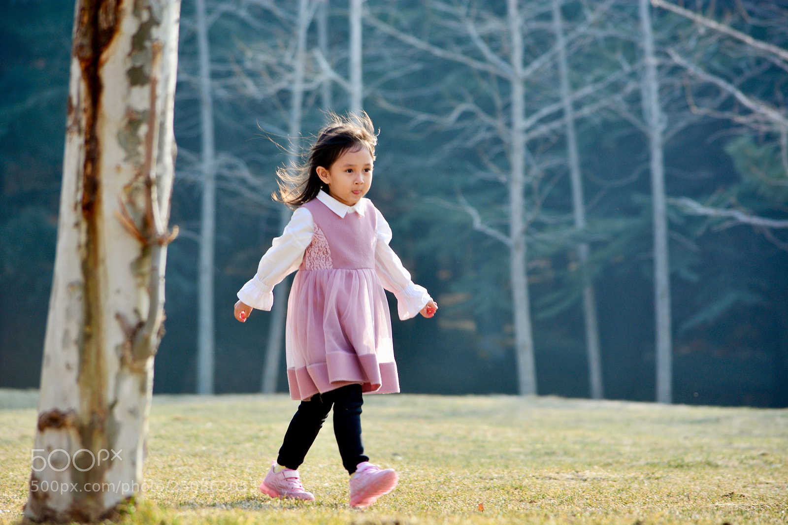 Nikon D7100 sample photo. 小小鸟 photography