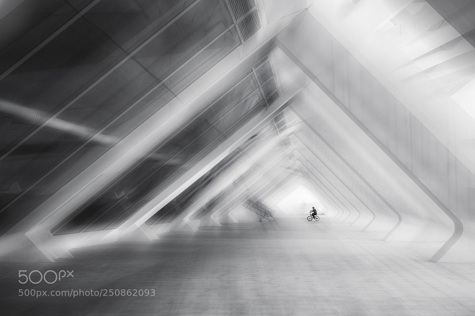 Canon EOS 5D Mark II sample photo. Movimiento photography