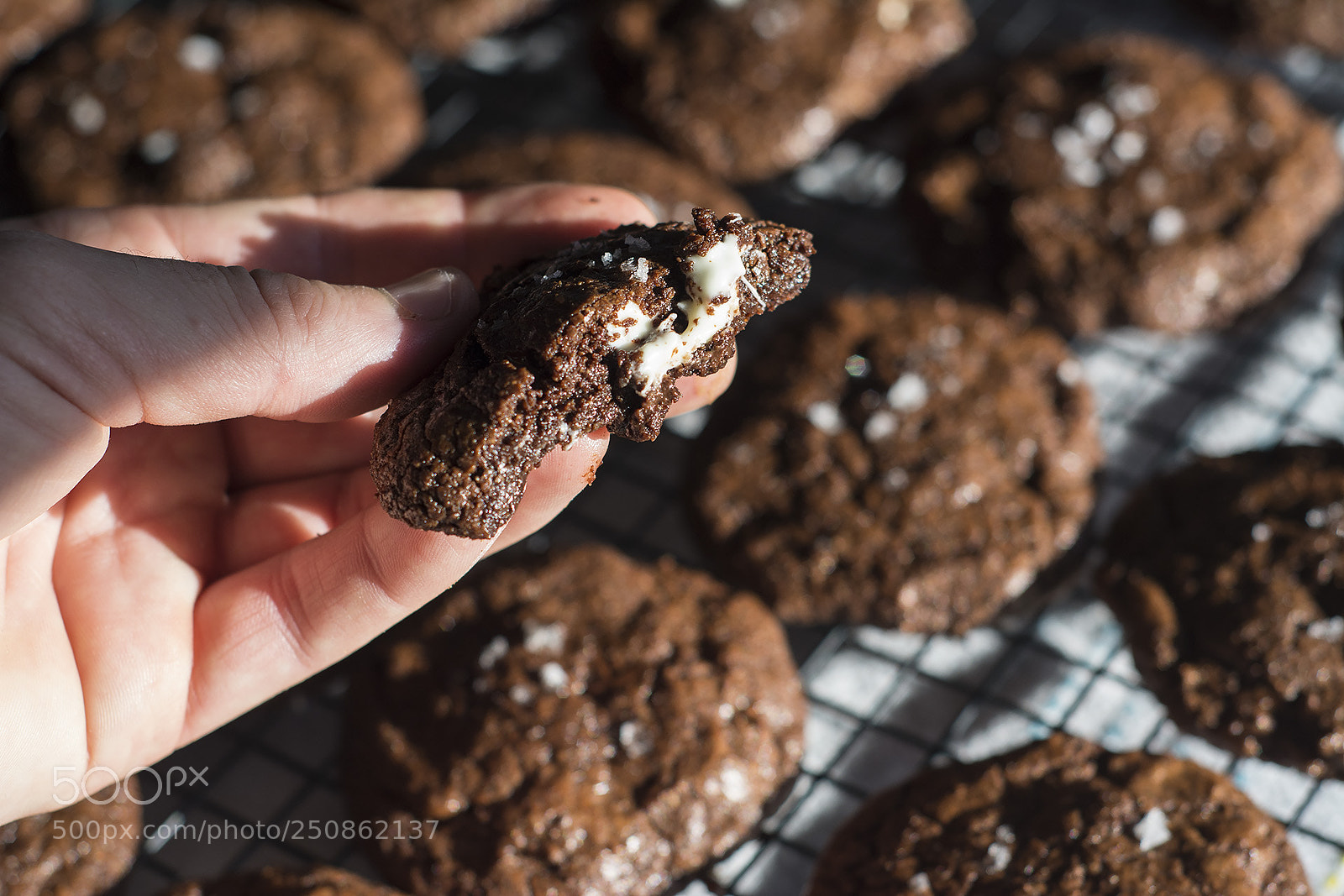 Nikon D7100 sample photo. Chocolate rye cookies photography