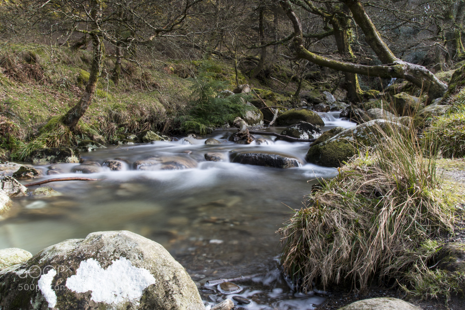 Nikon D5500 sample photo. Peaceful photography