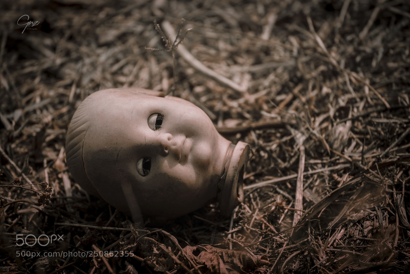 Nikon D800E sample photo. Abandoned photography