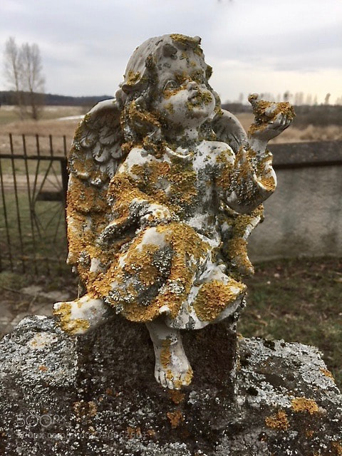 Apple iPhone 6 sample photo. Abandoned little graveyard angel photography