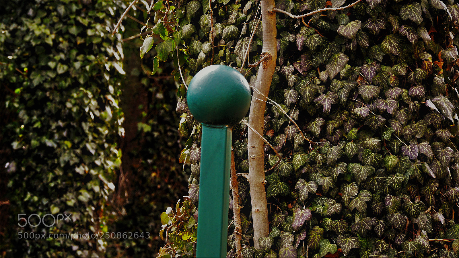 Nikon D3200 sample photo. Untitled photography