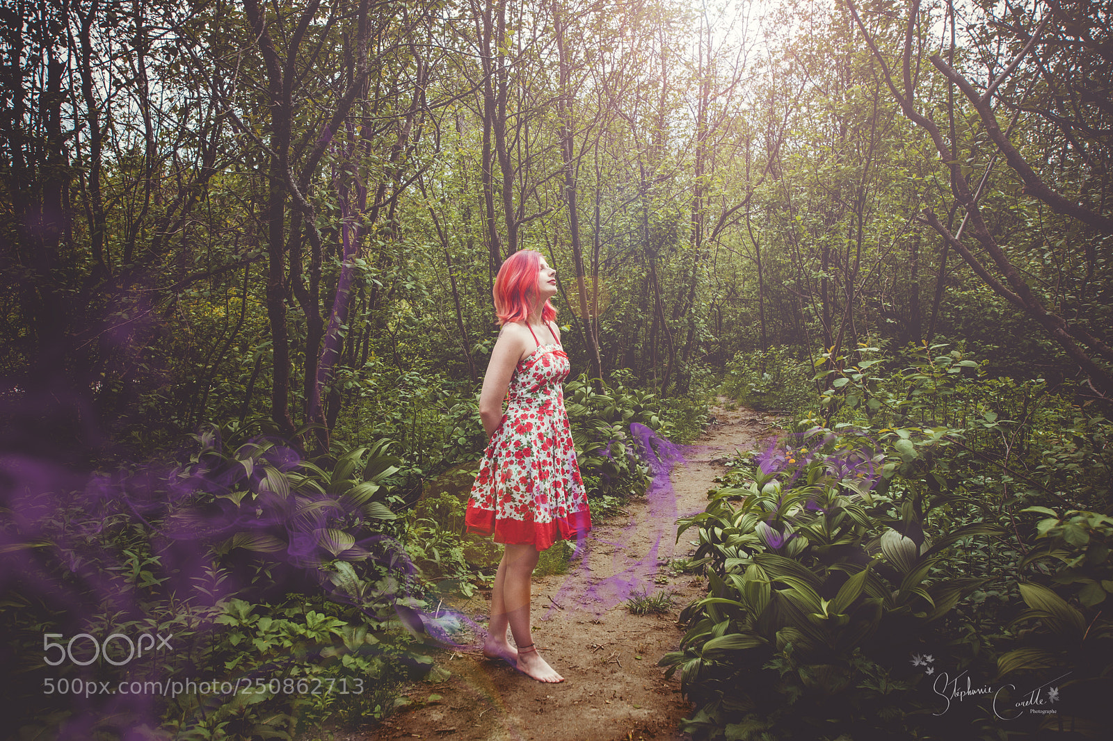 Sony SLT-A77 sample photo. Summerland: forest path photography