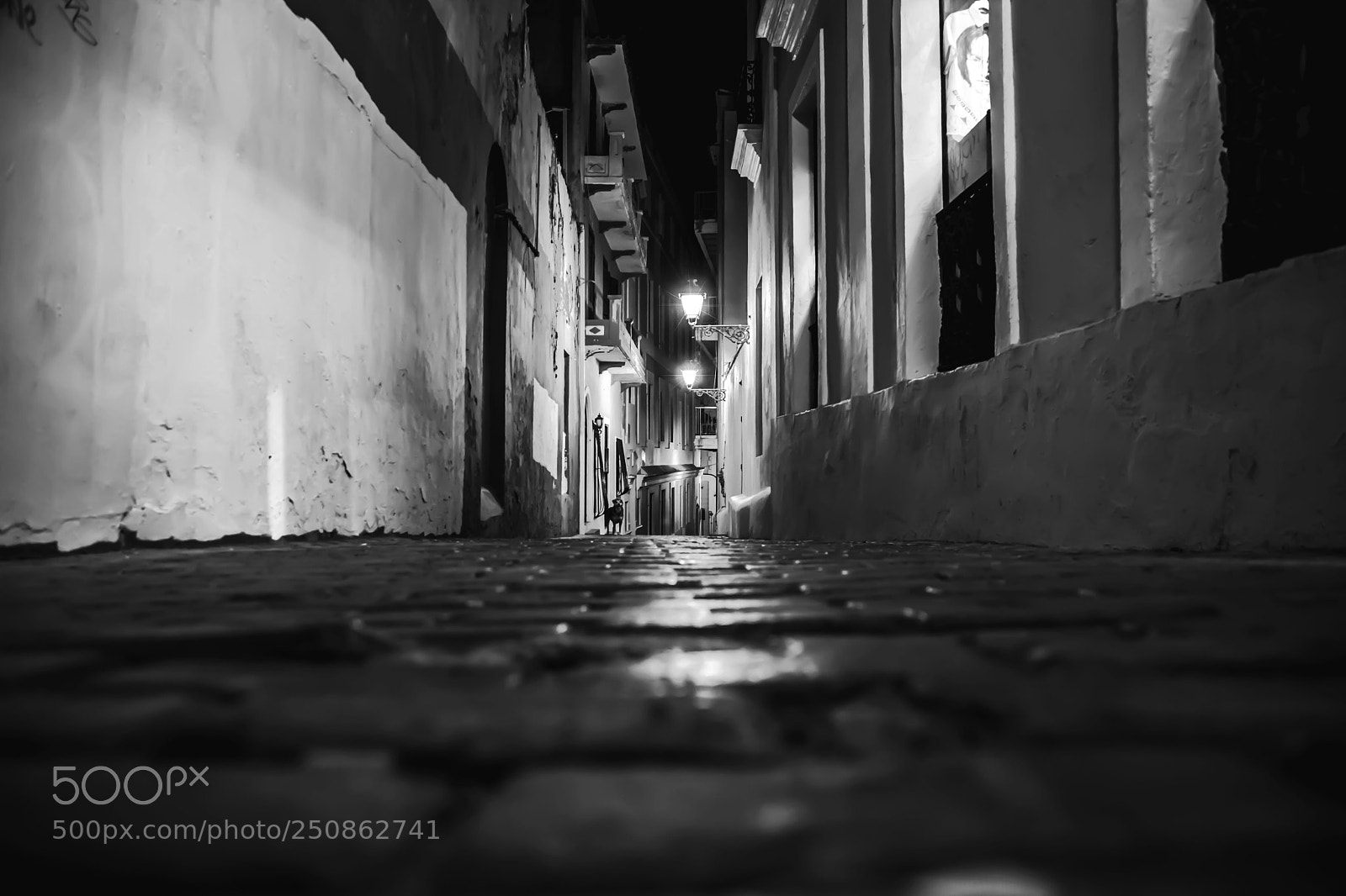 Canon EOS 5D Mark II sample photo. The road to recovery photography