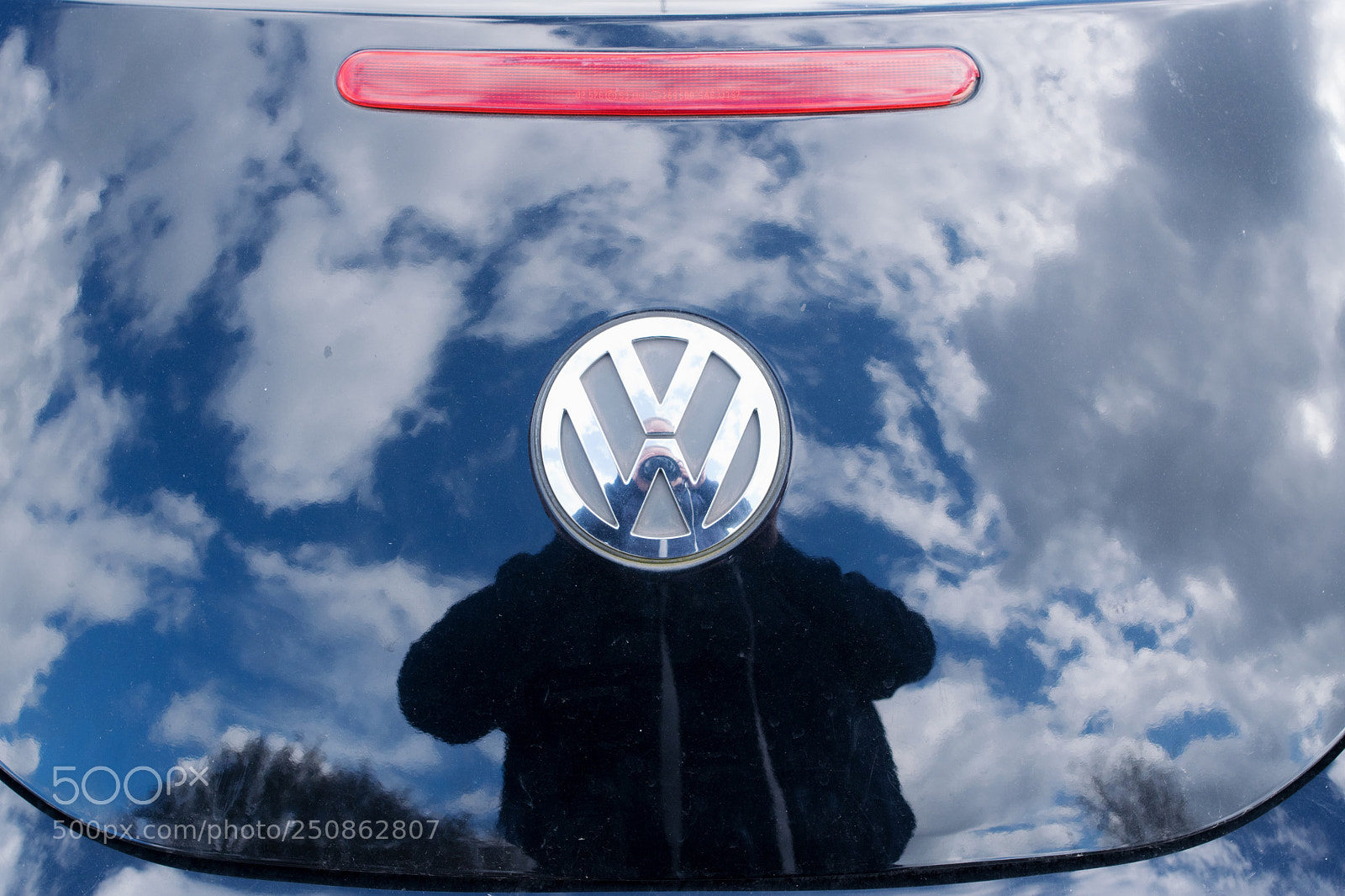 Nikon D5300 sample photo. Beetle mania photography