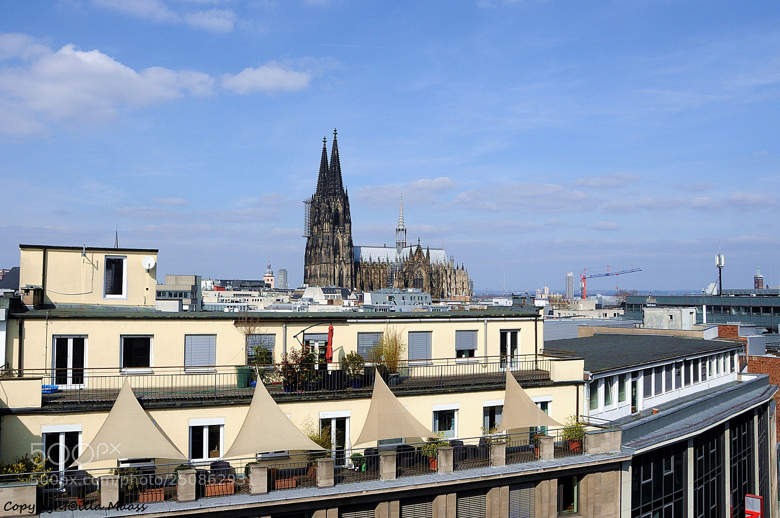 Nikon D300 sample photo. Auf den d chern photography