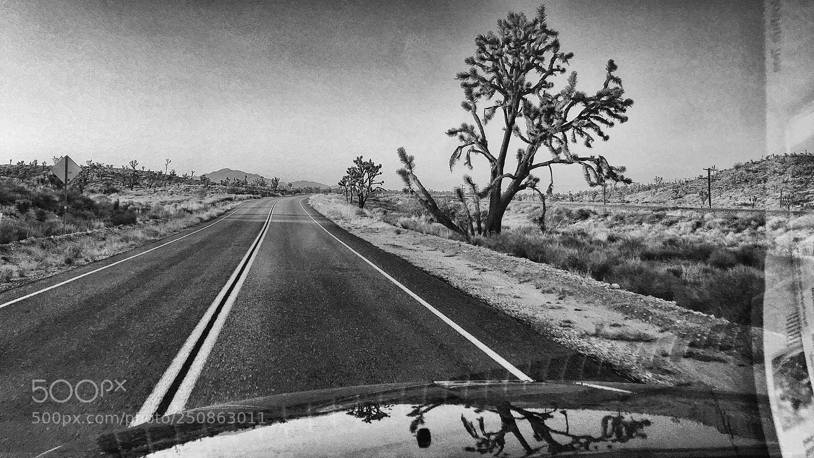 Apple iPhone 6s sample photo. California joshua trees road photography