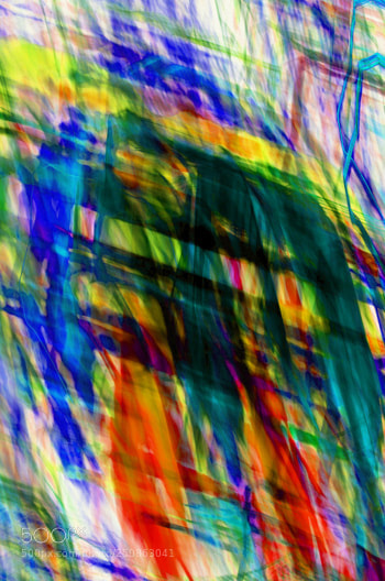 Nikon D7000 sample photo. Designer 105990 x7 photography