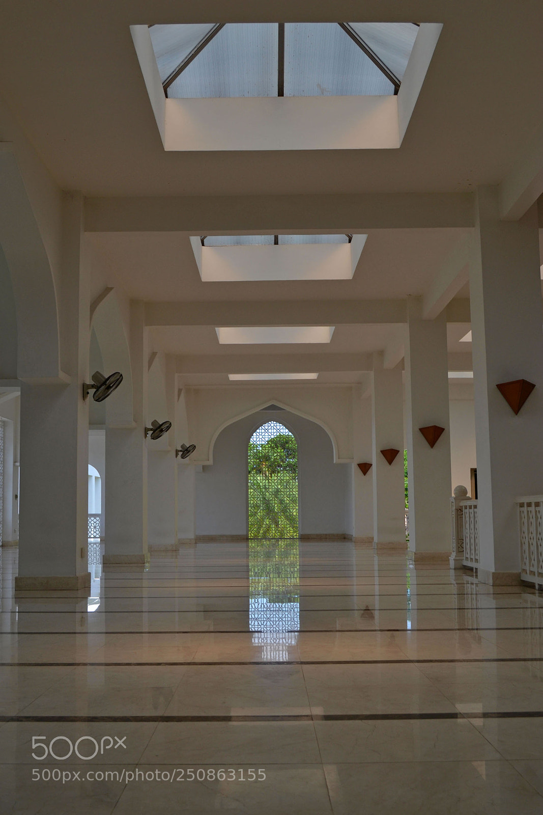 Nikon D3100 sample photo. Reflection photography