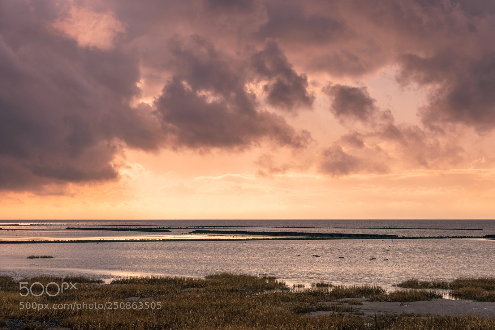 Sony a7 II sample photo. Purple clouds photography