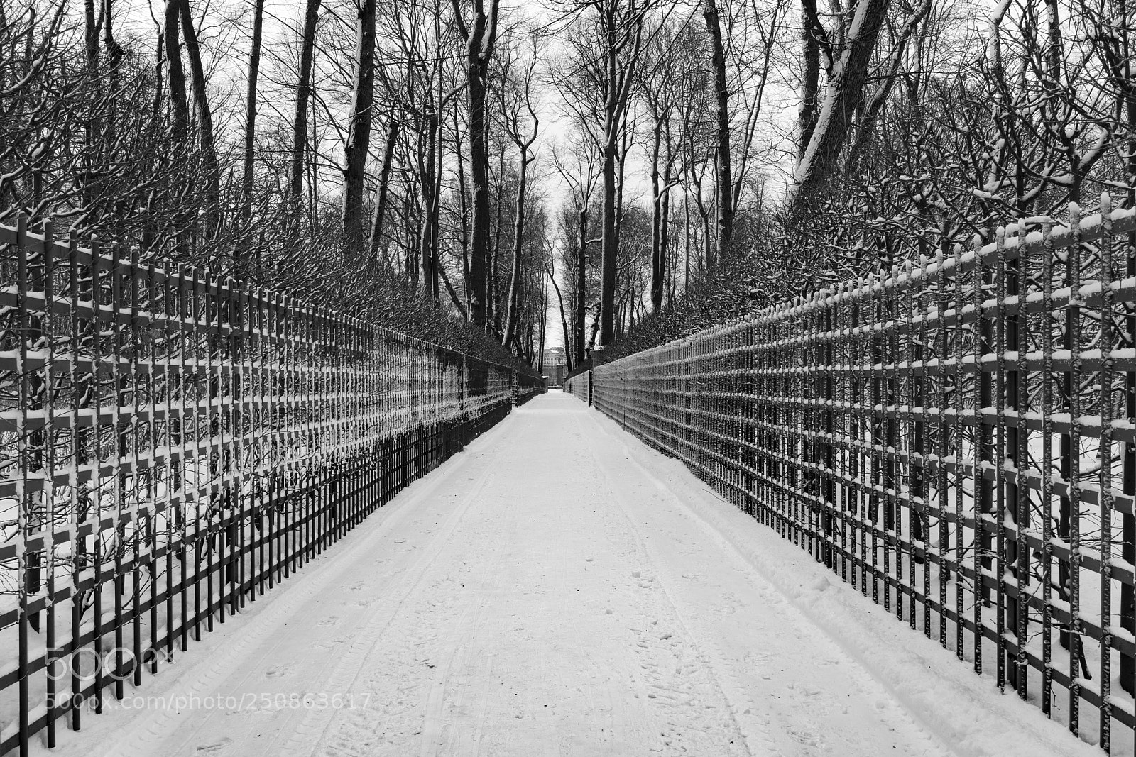 Sony a7R II sample photo. St. petersburg. park. photography