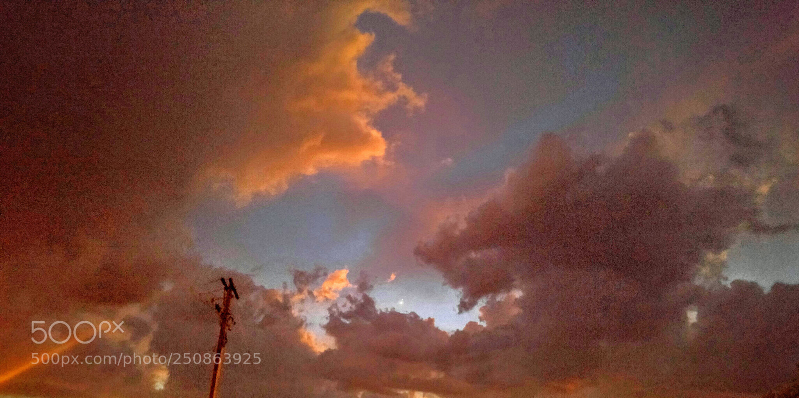 LG G4 sample photo. Untitled photography