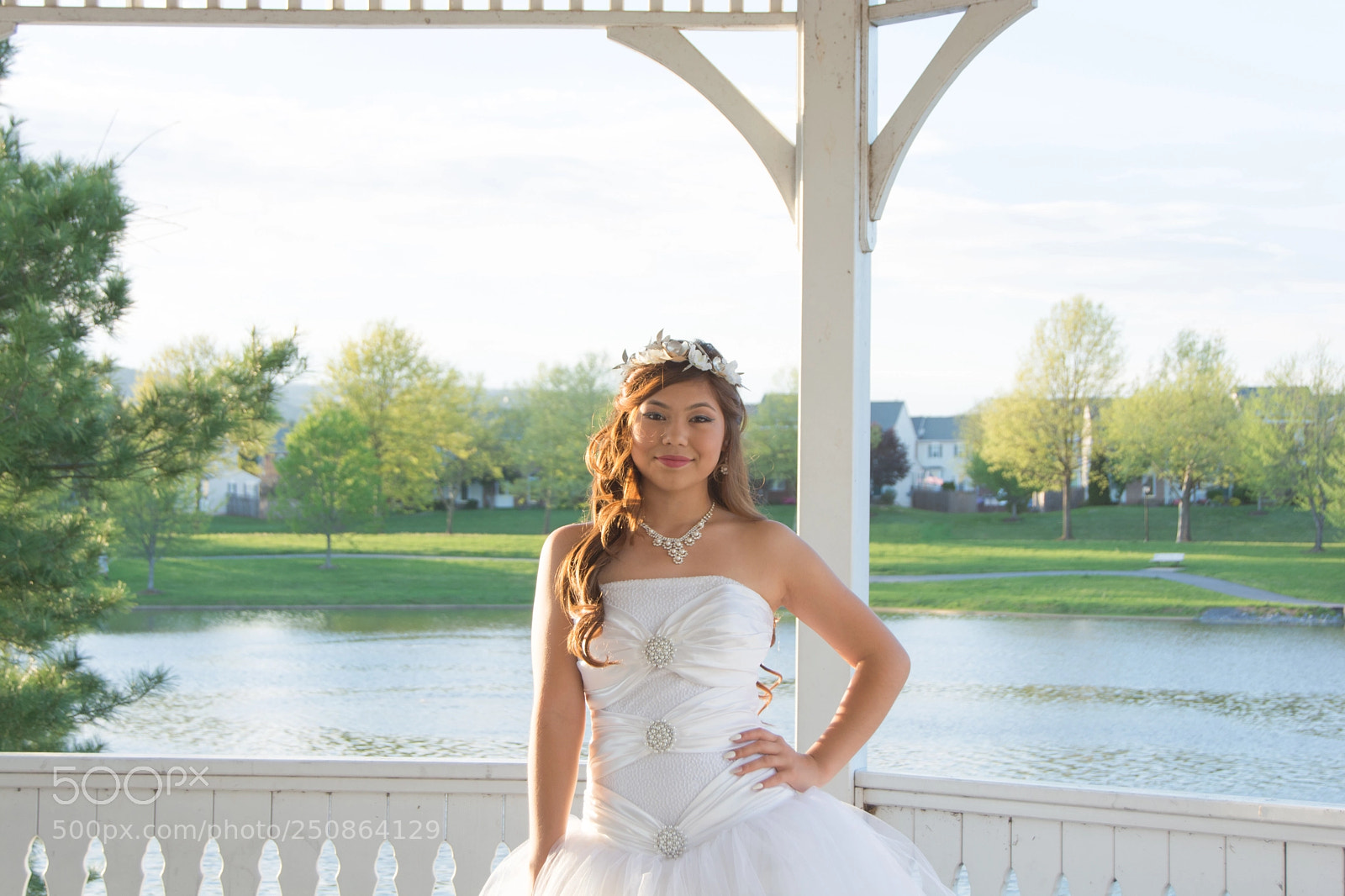 Nikon D5200 sample photo. Enchanted rose photography