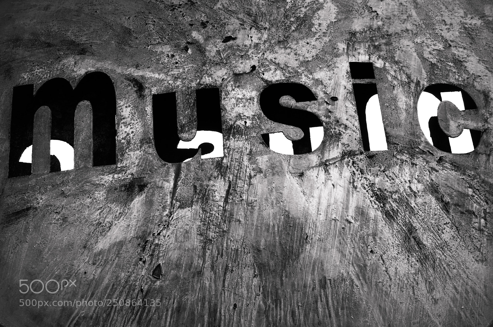 Nikon D90 sample photo. Untitled photography