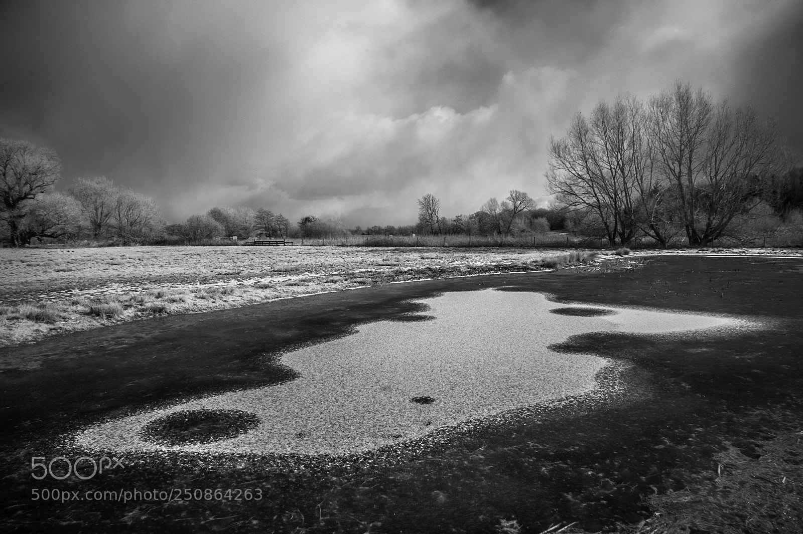 Nikon D700 sample photo. Water meadows in winter #2 photography