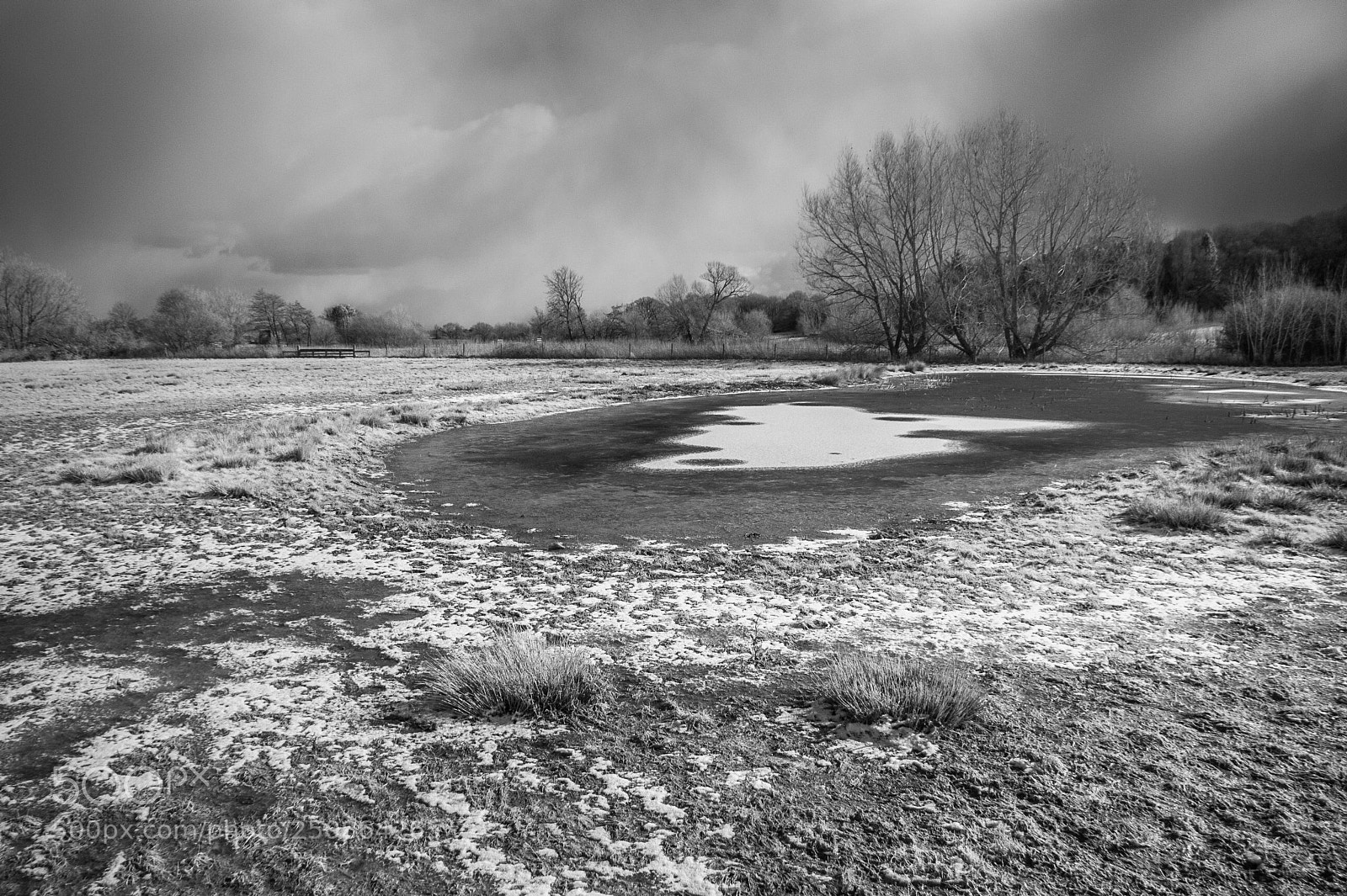 Nikon D700 sample photo. Water meadows in winter #1 photography