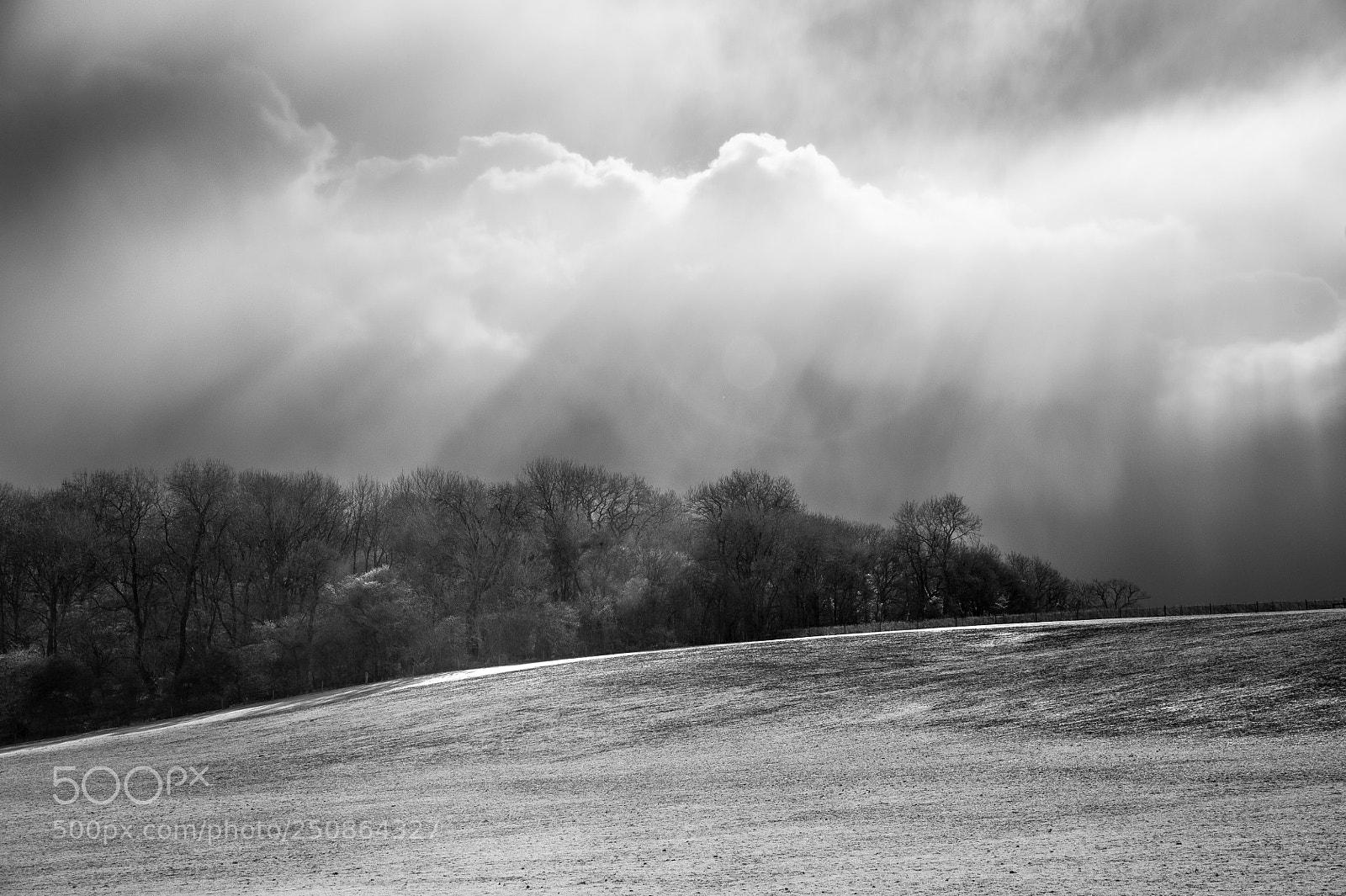 Nikon D700 sample photo. Water meadows in winter #3 photography