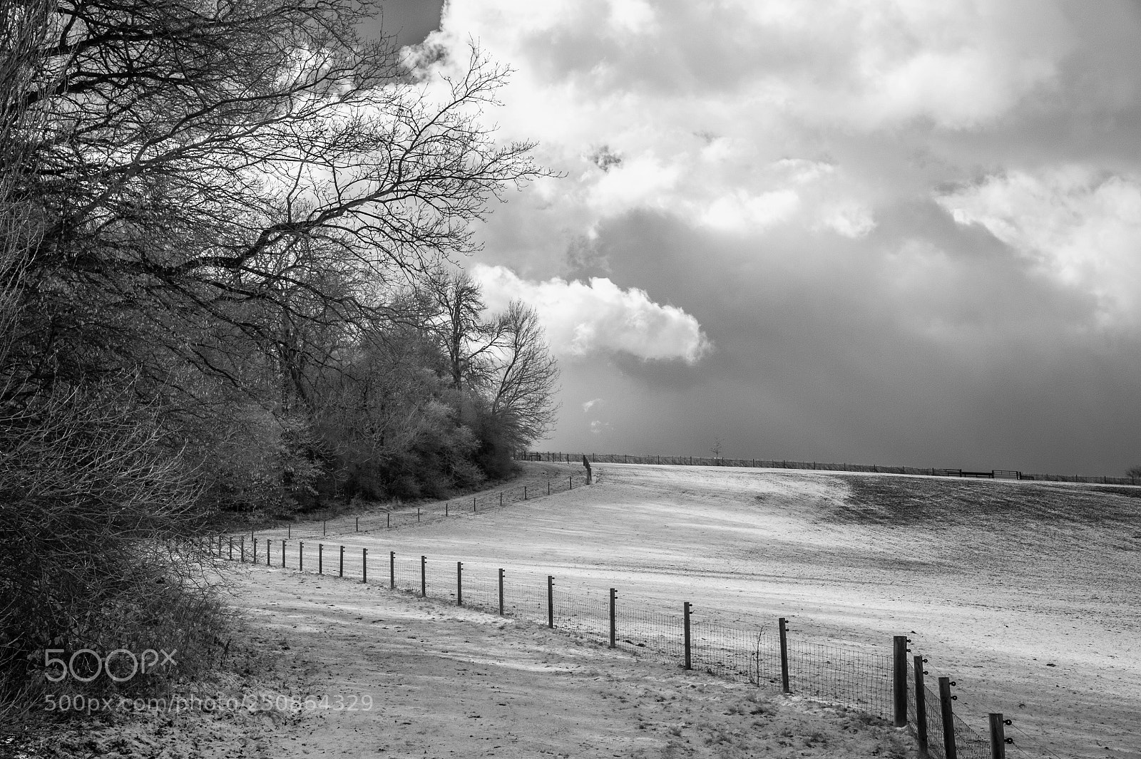 Nikon D700 sample photo. Water meadows in winter #4 photography