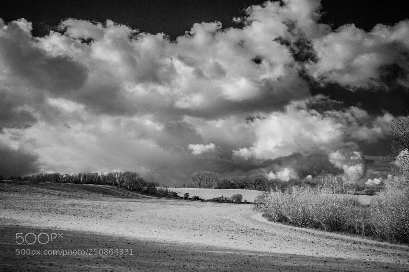 Nikon D700 sample photo. Water meadows in winter #5 photography