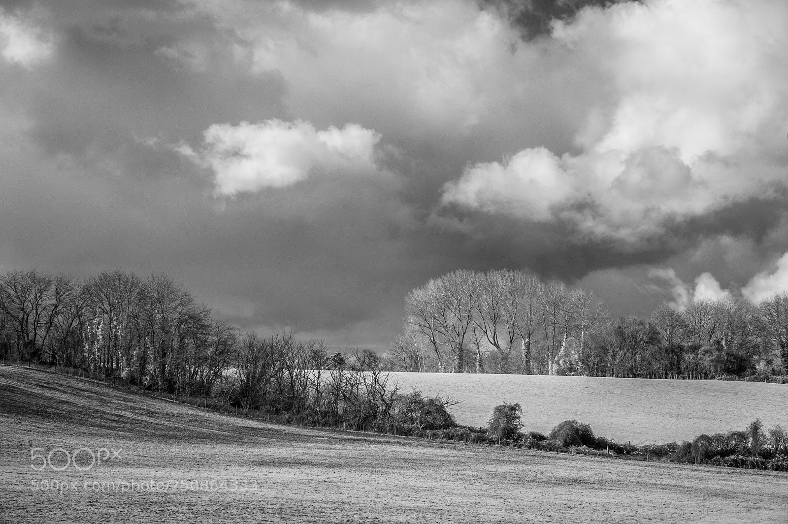 Nikon D700 sample photo. Water meadows in winter #6 photography