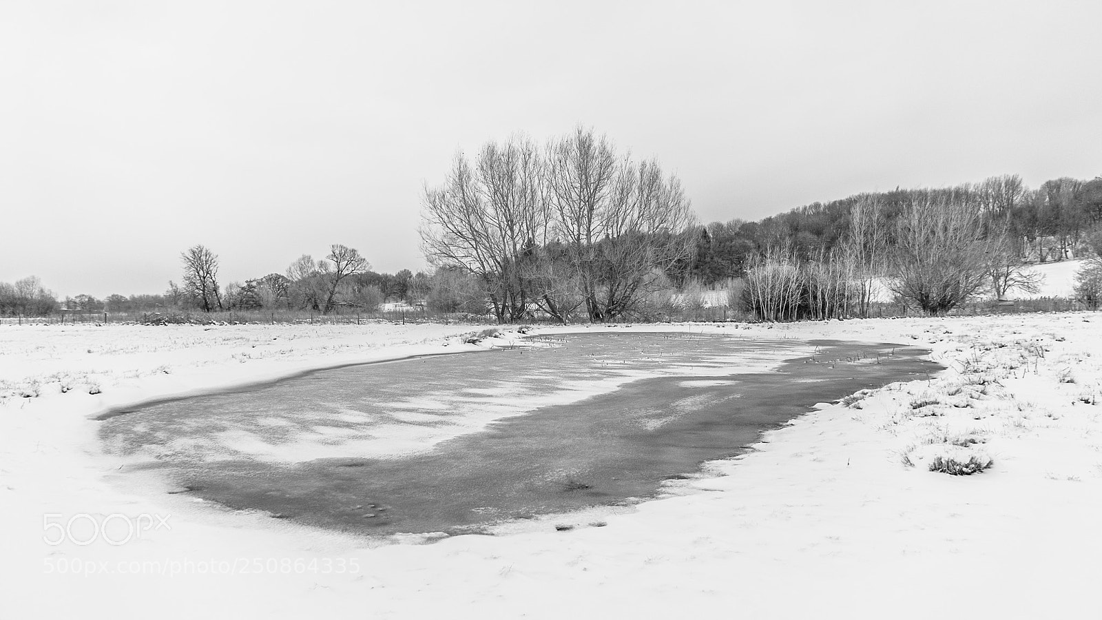 Nikon D700 sample photo. Water meadows in winter #7 photography
