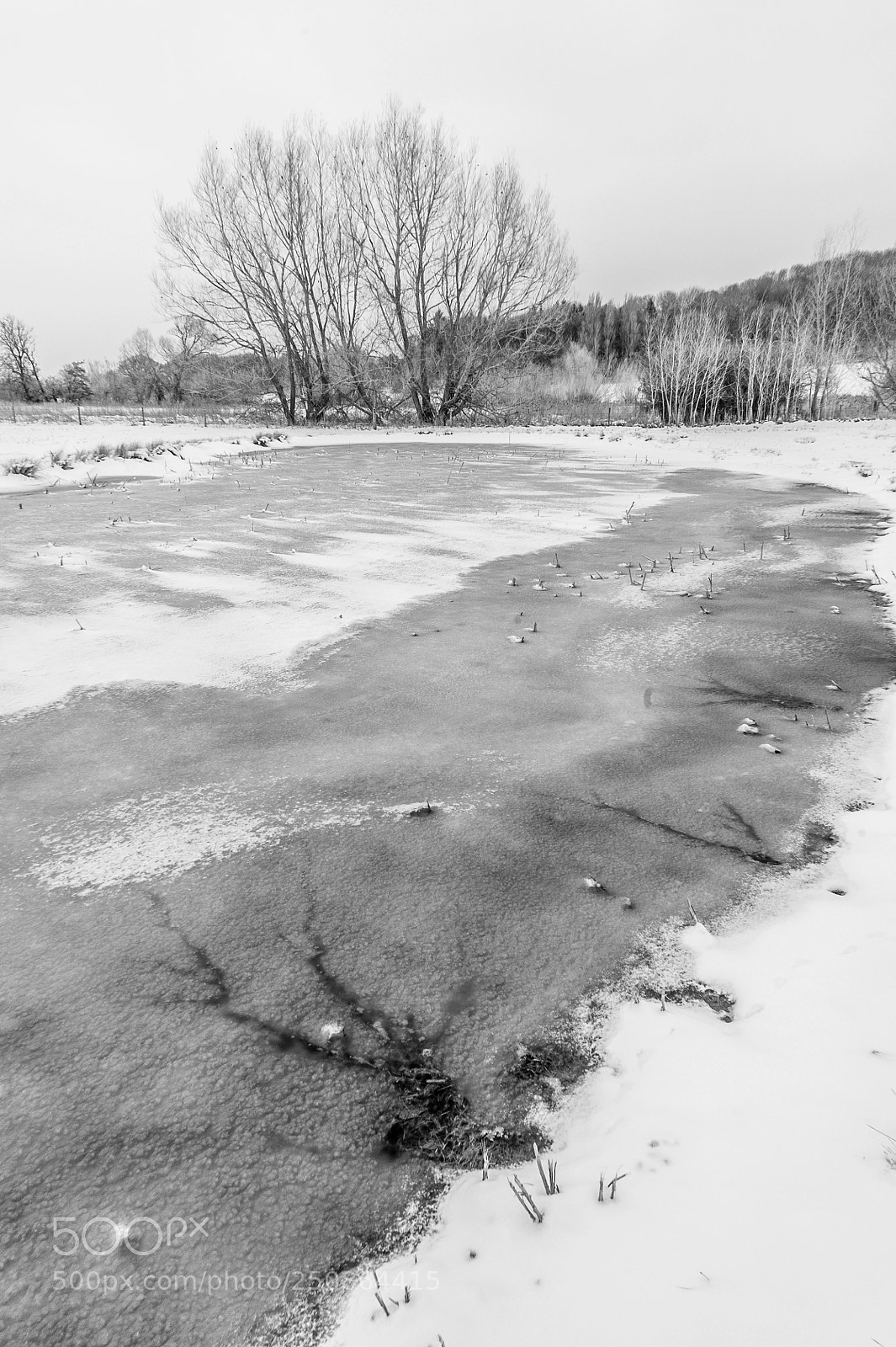 Nikon D700 sample photo. Water meadows in winter #8 photography