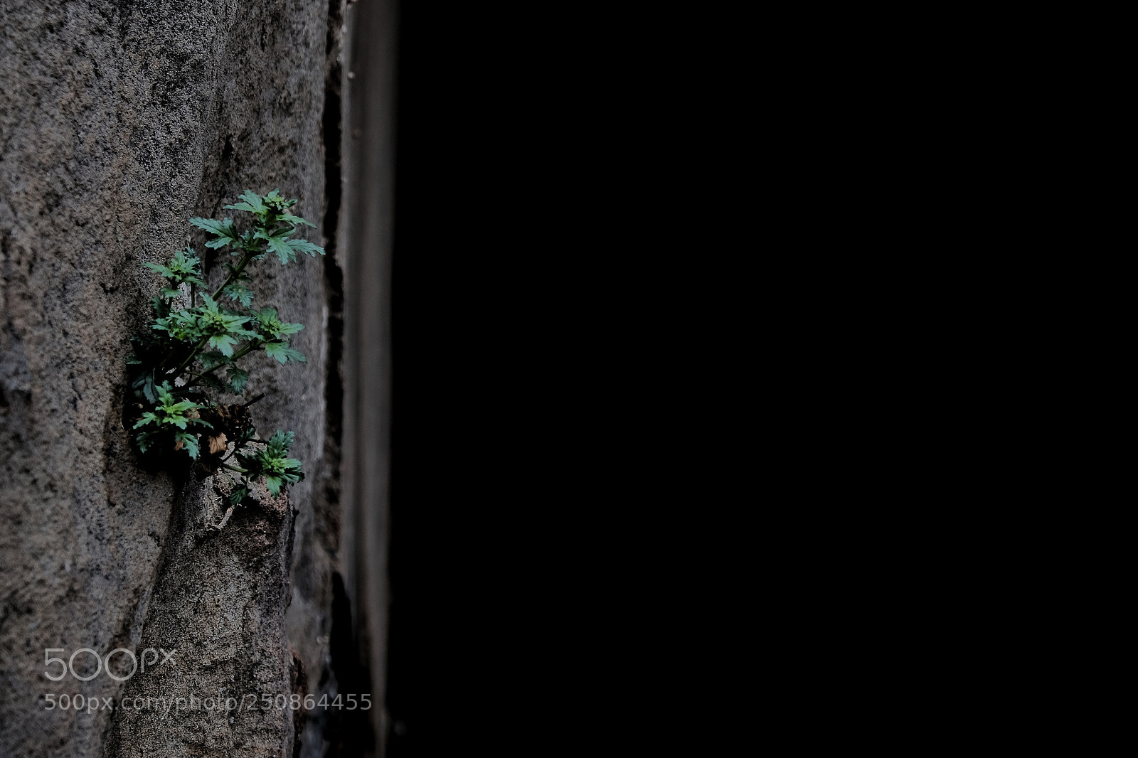 Fujifilm X-T1 sample photo. Untitled photography