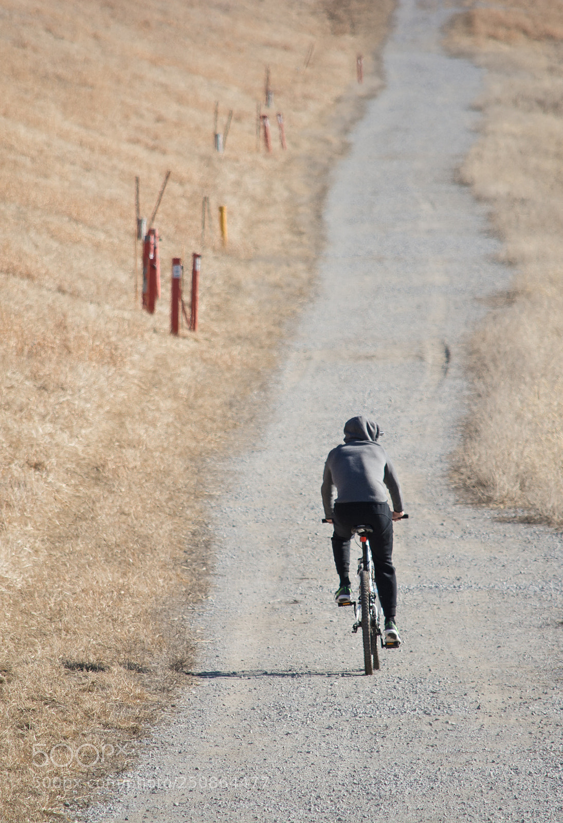 Nikon D7100 sample photo. The long road home photography