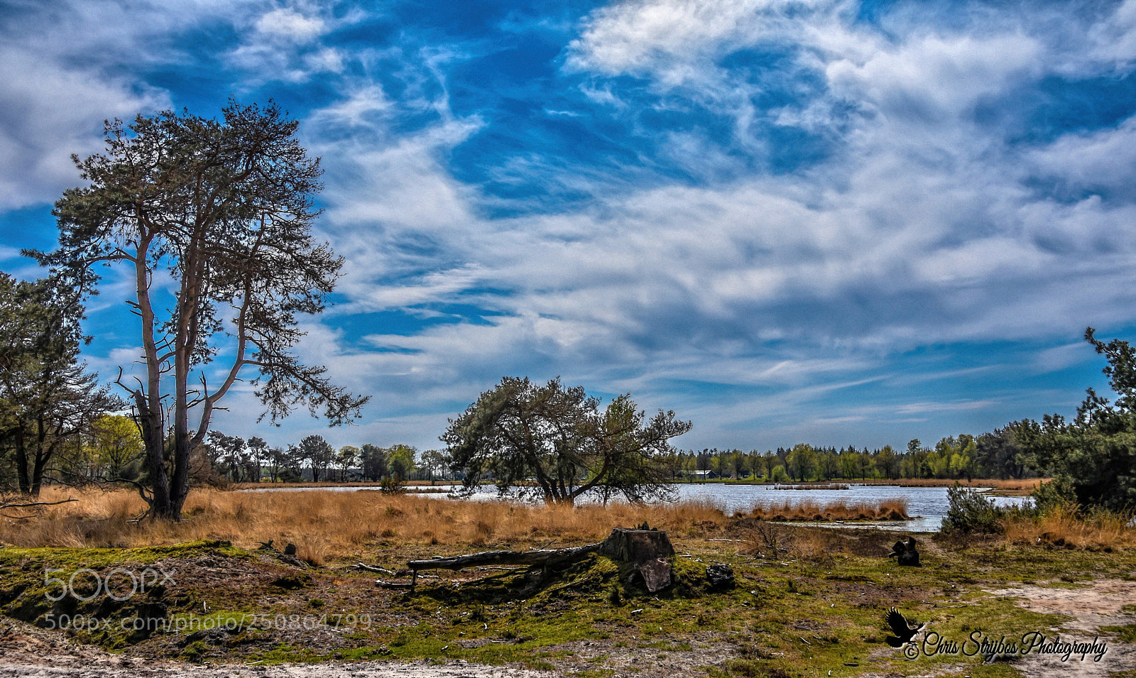 Nikon D7200 sample photo. Landscape (someren) (nl) photography