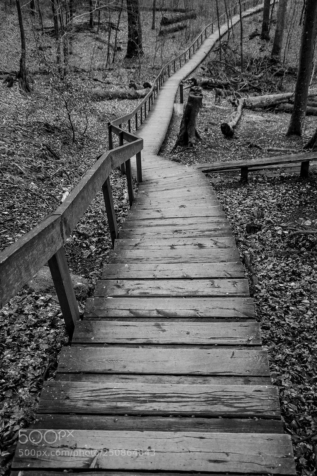 Nikon D800 sample photo. Them stairs photography